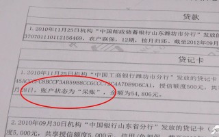 征信是指(征信是指对其事业单位和个人的信用信息进行)