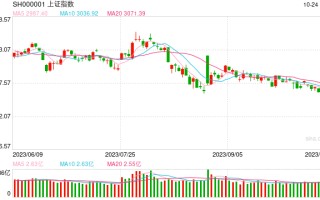 视频|李大霄：反攻开始！健全保护散户的机制！